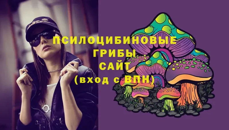 Галлюциногенные грибы MAGIC MUSHROOMS  ОМГ ОМГ tor  shop как зайти  Краснозаводск 